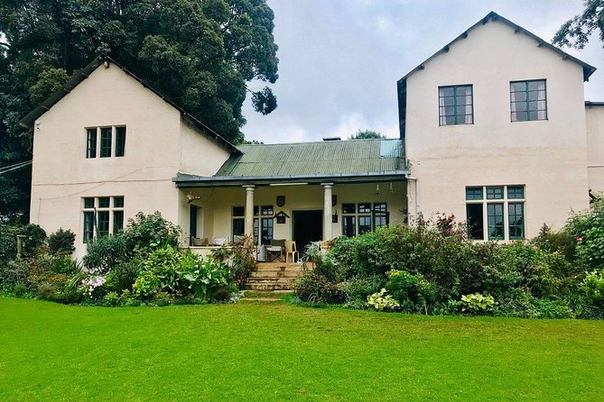 Nairobi to Kiambethu Tea Farm Tour - What I Would Know Before Booking