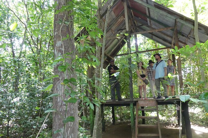 Nandana Tea Walking Tour in Sri Lanka - The seven-tea tasting is the payoff