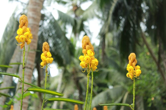 Nandana Tea Walking Tour in Sri Lanka - The optional Sri Lankan meal