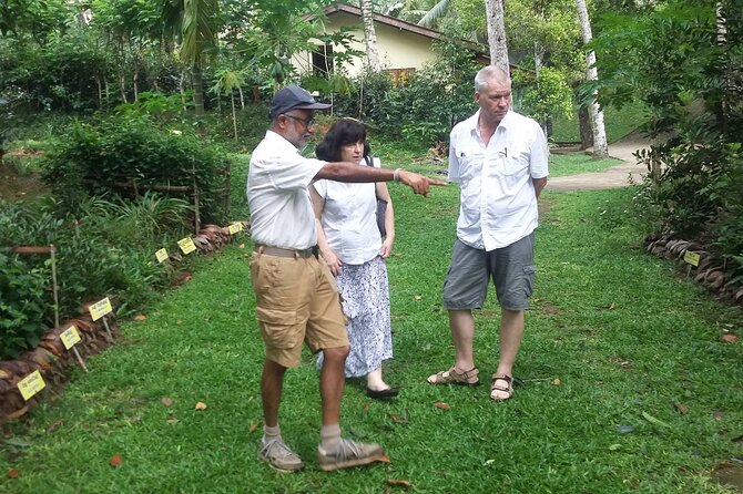 Nandana Tea Walking Tour in Sri Lanka - How the price compares with the experience