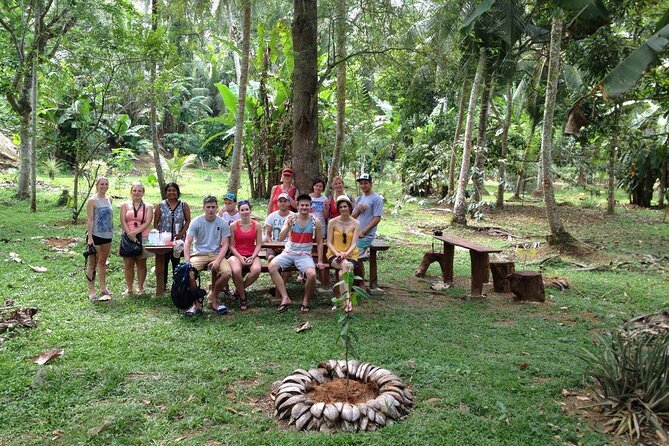 Nandana Tea Walking Tour in Sri Lanka - The herbal garden sets the tone
