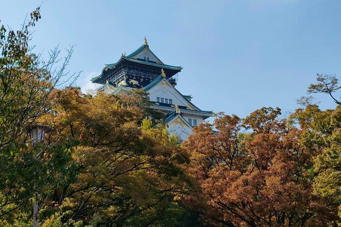 Nara Deer Park, Uji Matcha, & Hot Spring Full-Day Tour from Osaka - Guide quality and the shared group format