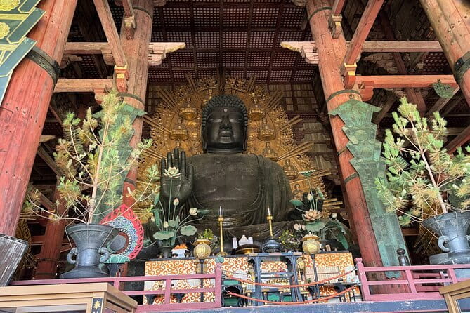 Nara：Private Tea Ceremony(Max 5 ppl) -Master Matcha Making- - Why the private group size matters