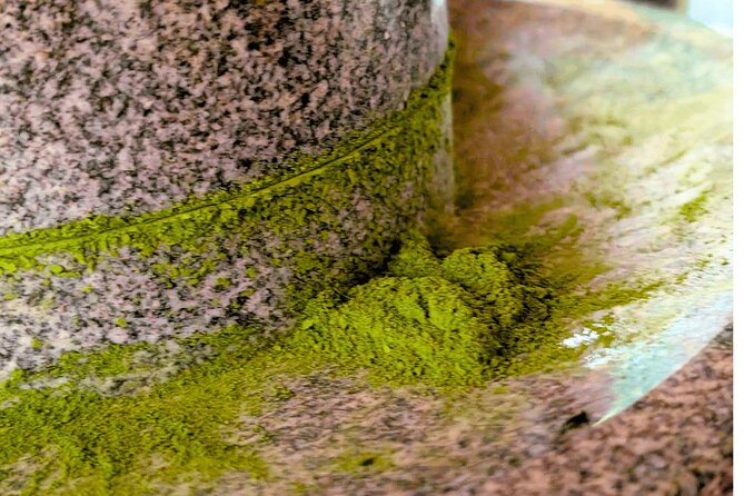 Nishio Matcha Story|Tea Ceremony & Matcha Kaiseki Journey - Why Nishio is a good place to learn about matcha