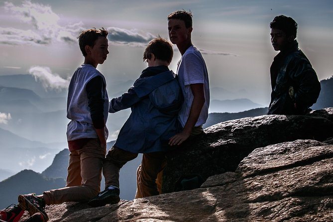 Nuwara Eliya: All Inclusive Horton Plains & Tea Plucking Day Trip - Pedro Tea Factory from 3:30pm to 5:00pm