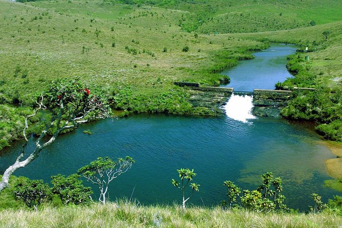 Nuwara Eliya: All Inclusive Horton Plains & Tea Plucking Day Trip - The 6:00am drive to Horton Plains