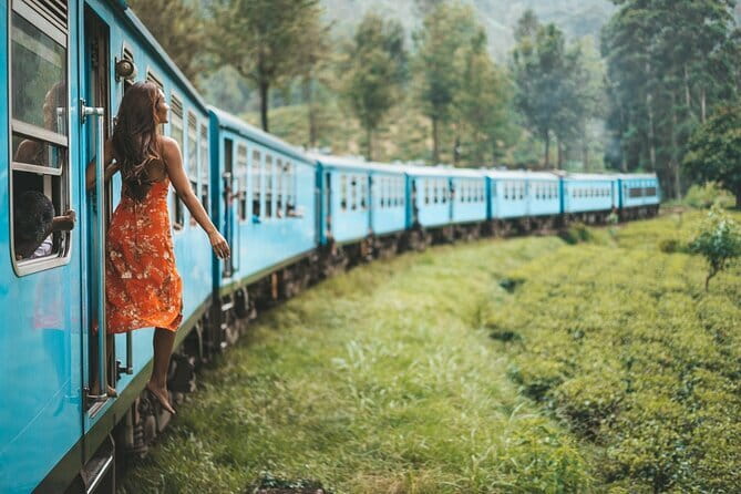 Nuwara Eliya Highlights: Waterfall, Tea & Picturesque Train Ride - Key Points at a Glance