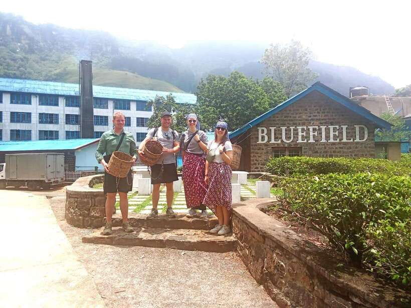 Nuwara Eliya: Tea Factory and Pickle Waterfalls Tuk Tuk Tour - Is $33 good value?