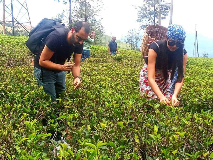 Nuwara Eliya: Tea Factory and Pickle Waterfalls Tuk Tuk Tour - Timing, comfort, and what to bring