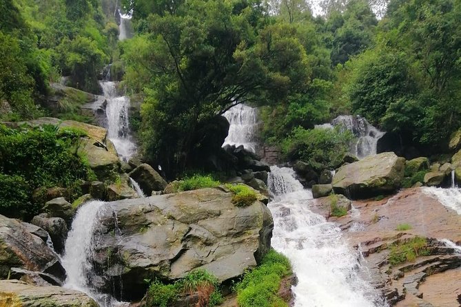 Nuwara Eliya Tea factory and waterfall tour - A practical look at the Nuwara Eliya tea tour