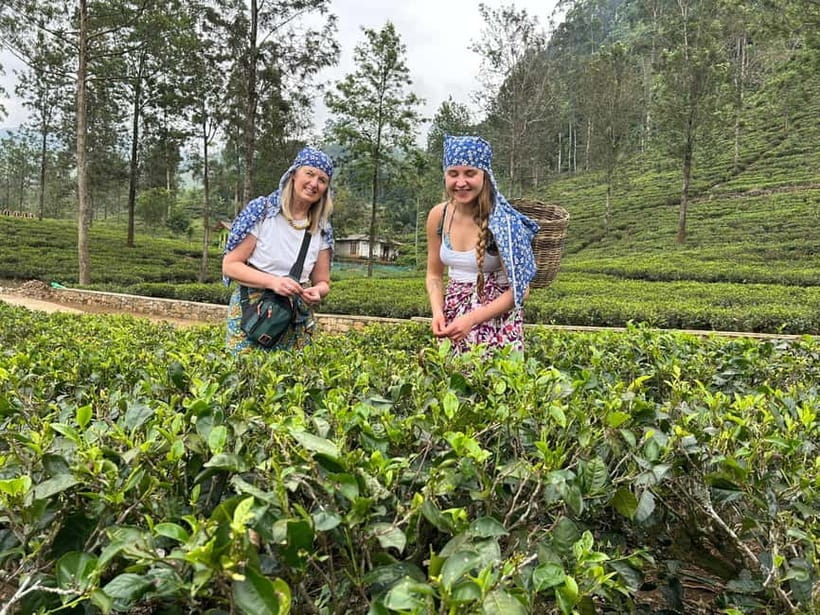 Nuwara Eliya Tea & Ramboda Falls Taxi tours for 5 pax - Nuwara Eliya’s red-brick post office
