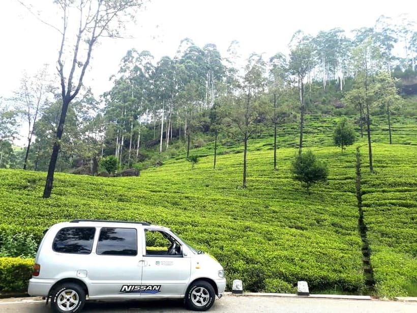 Nuwara Eliya Tea & Ramboda Falls Taxi tours for 5 pax - What the guide adds