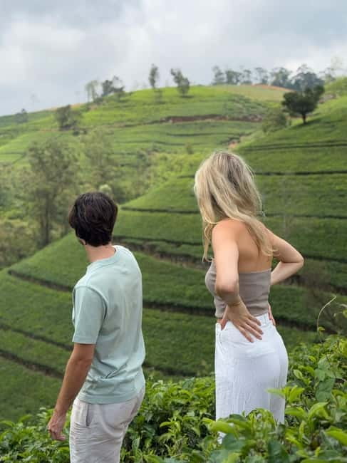 Nuwara Eliya Tea & Ramboda Falls Taxi tours for 5 pax - Starting in Nuwara Eliya or Nanuoya