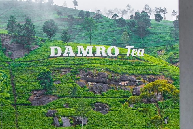 NuwaraEliya Tea Factory,Plantation & Water Falls Hike Tour by Car - Key points at a glance