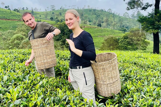 NuwaraEliya Tea Factory,Plantation & Water Falls Hike Tour by Car - Ramboda Falls and the outdoor change of pace