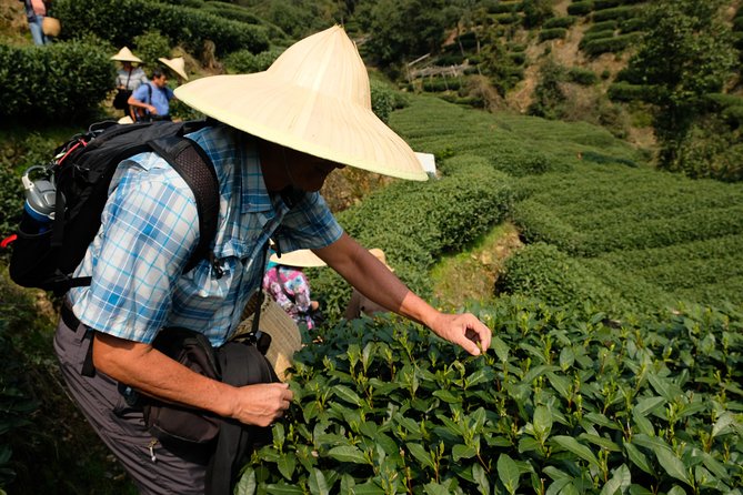 One-Day Hangzhou Dragon Well Tea Culture & West Lake Private Tour - Meijiawu Tea Village and the Dragon Well tradition