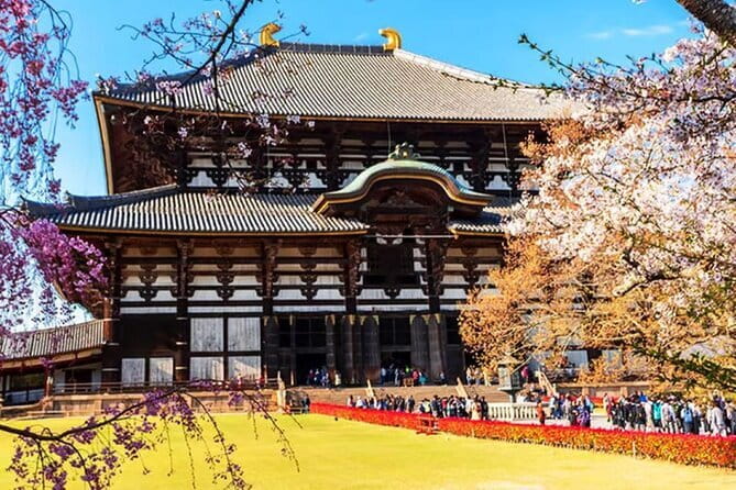 Osaka: Nara, Todaiji, Uji Matcha, and Hot Spring Tour - What this Osaka day trip is really trying to do
