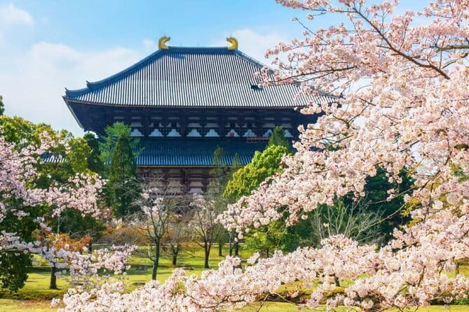 Osaka: Nara, Todaiji, Uji Matcha, and Hot Spring Tour - Tōdai-ji and the 15-meter Great Buddha