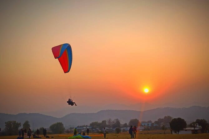 Palampur and Bir Tour, Tea Gardens, Adventures and Paragliding - Five things to know before booking