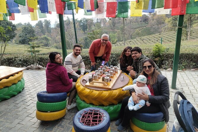 Palampur and Bir Tour, Tea Gardens, Adventures and Paragliding - Palampur tea gardens, from leaf to cup