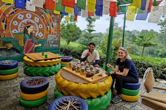 Palampur Tea Garden Tour - Private transport and the shape of the day