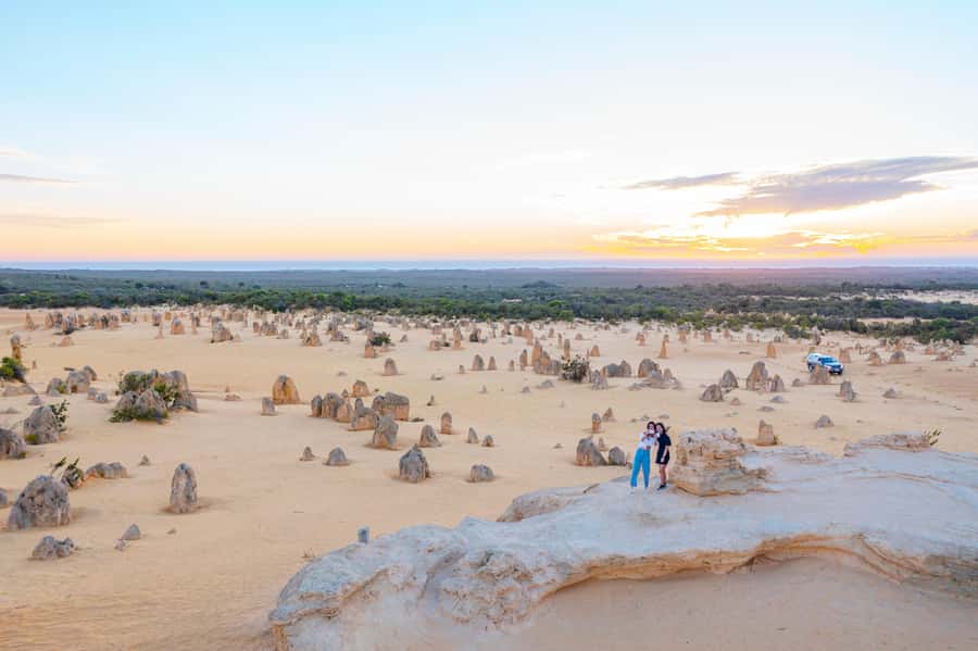 Perth: Pinnacles Desert Lobster Tour with Morning Tea - Should you book the Pinnacles and Lobster Shack tour?