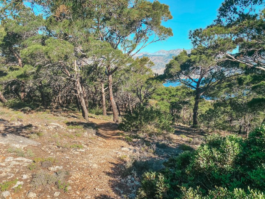Pigadia: Agia Kyriaki Guided Hike with Coffee/Tea and Raki - What the guide adds to the experience