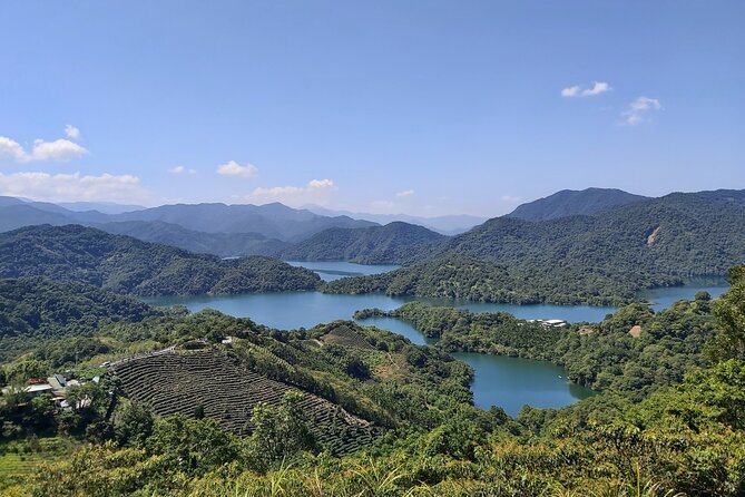 Pinglin Tea Culture & Maokong Day Tour from Taipei - Key reasons to consider this day tour