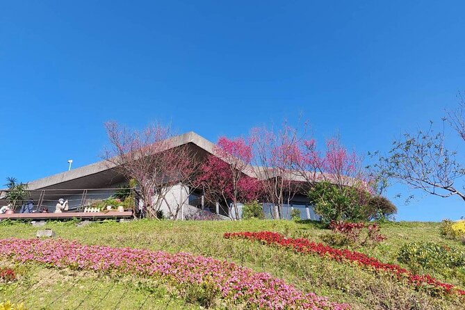 Pinglin Tea Culture & Maokong Day Tour from Taipei - Tieguanyin, Baozhong, and a mountain lunch