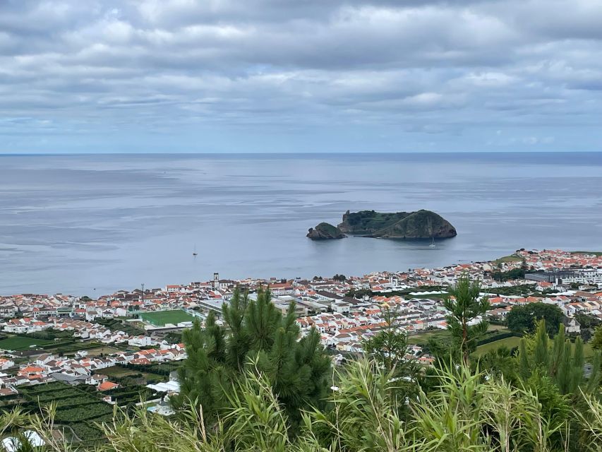 Privat van tour Furnas valley, Gorreana tea – islands gems - Key points at a glance