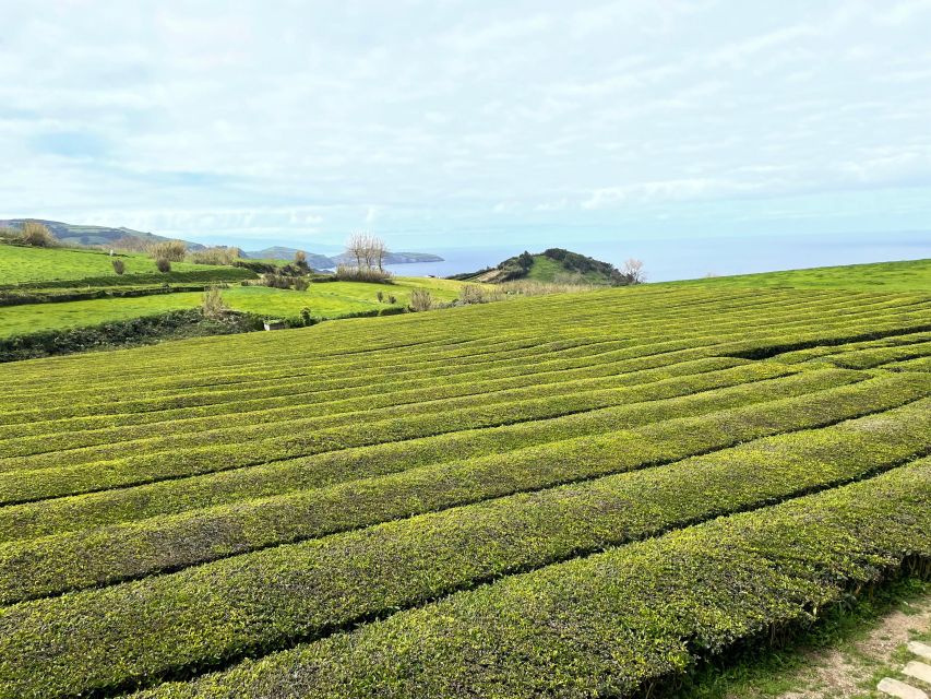 Privat van tour Furnas valley, Gorreana tea – islands gems - Two chapels to finish the route