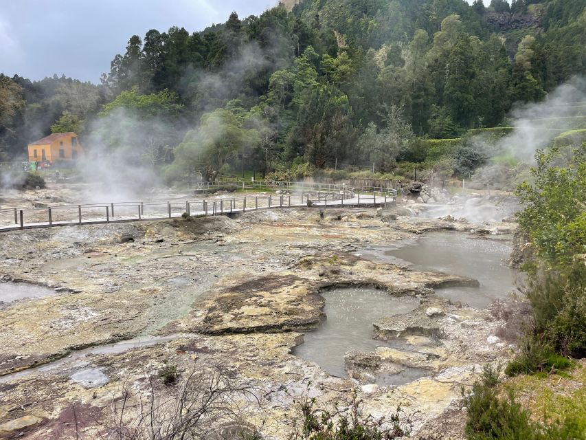 Privat van tour Furnas valley, Gorreana tea – islands gems - Local flavor at Mulher de Capote