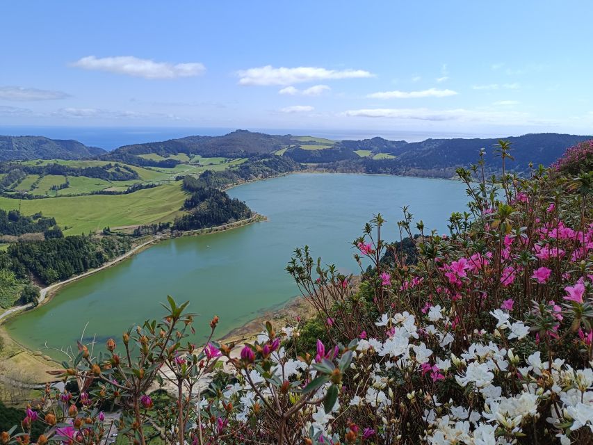 Privat van tour Furnas valley, Gorreana tea – islands gems - Tea, hills, and a working factory at Gorreana