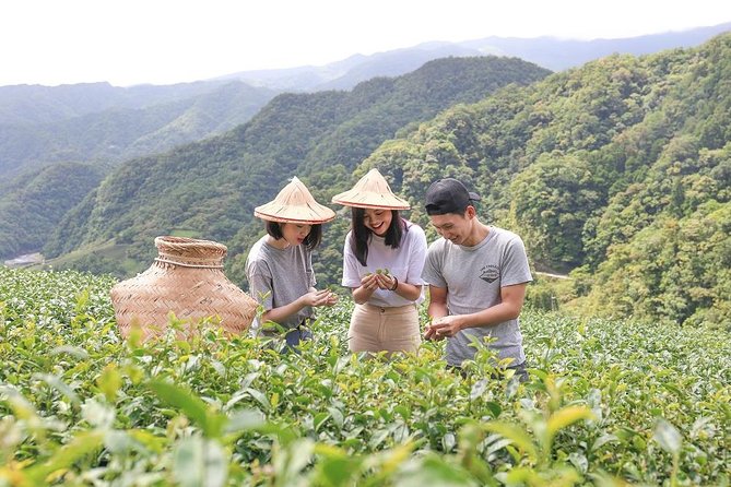 Private 1-Day Tea Experience in Taipei - Key points to know before booking