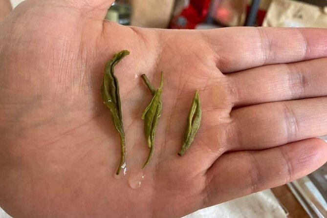 Private Authentic Tea Experience in Prague - The Stories Behind the Leaves