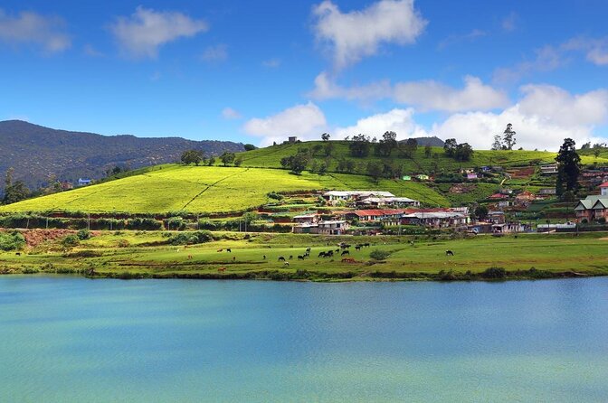 Private day tour kandy to nuwara eliya tea plantation - What this Kandy to Nuwara Eliya day covers
