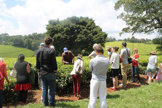 Private Day Trip to Kiambethu Tea Farm in Limuru from Nairobi - Tea at a farm with a family story