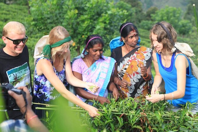 Private Galle Day Tour with Boat Safari & Tea Factory Visit - All Inclusive - Why this tour works for a packed Sri Lanka schedule