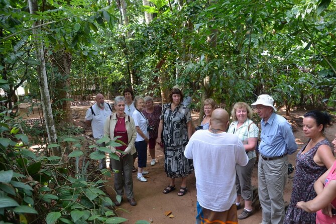 Private Galle Day Tour with Boat Safari & Tea Factory Visit - All Inclusive - Buddhist temple and the cultural stops
