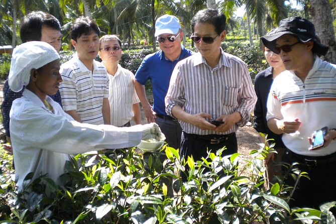Private Galle Day Tour with Boat Safari & Tea Factory Visit - All Inclusive - Galle Dutch Fort in one hour