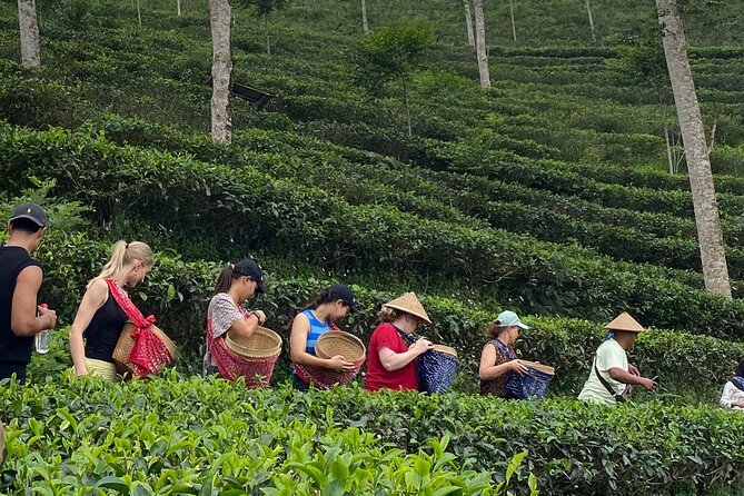 Private Half-Day Tea Village Discovery with lunch in Yogyakarta - Leaving Yogyakarta for the Menoreh hills