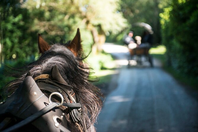 Private Jaunting Tour and Afternoon Tea in Killarney - Ross Castle: a short stop with a strong setting