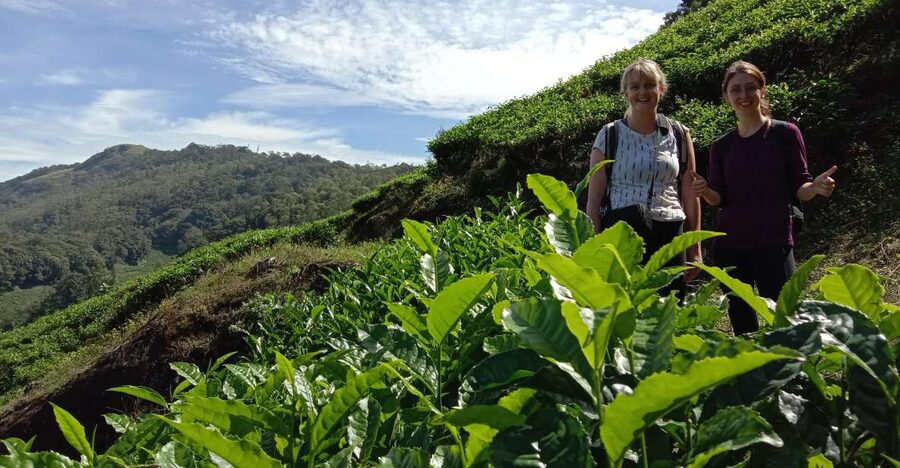 Private Munnar Tea Trek - Entering the tea garden and learning the trade
