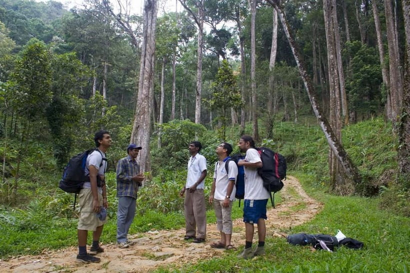 Private Munnar Tea Trek - Breaks, snacks, and the rhythm of the route