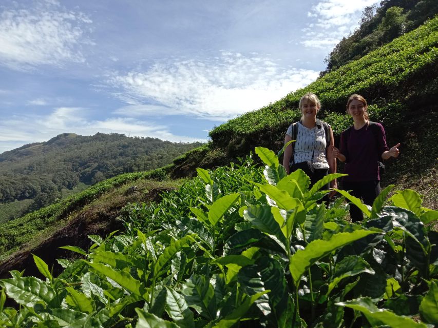 Private Munnar Tea Trek - Leaving Munnar from the KSRTC Depot