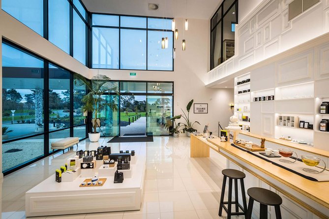 Private tour from Auckland - Waitomo Glowworm Caves, Zealong Tea & Kiwi Bird - Zealong Tea Estate and the two-hour tea stop