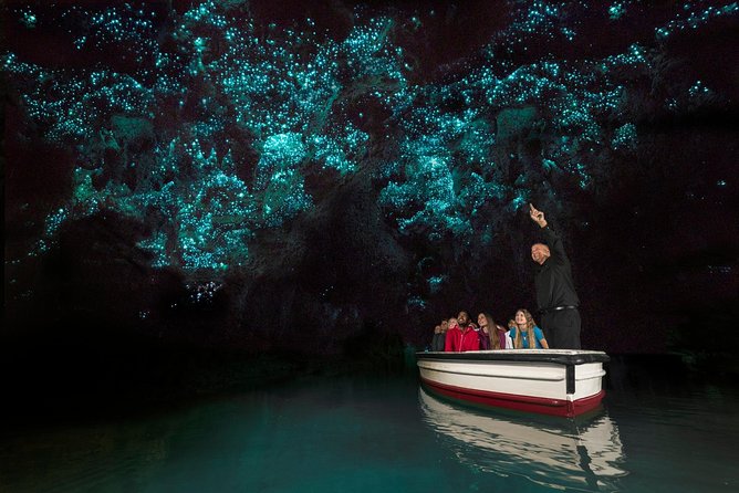Private tour from Auckland - Waitomo Glowworm Caves, Zealong Tea & Kiwi Bird - Practical advice for a smoother day