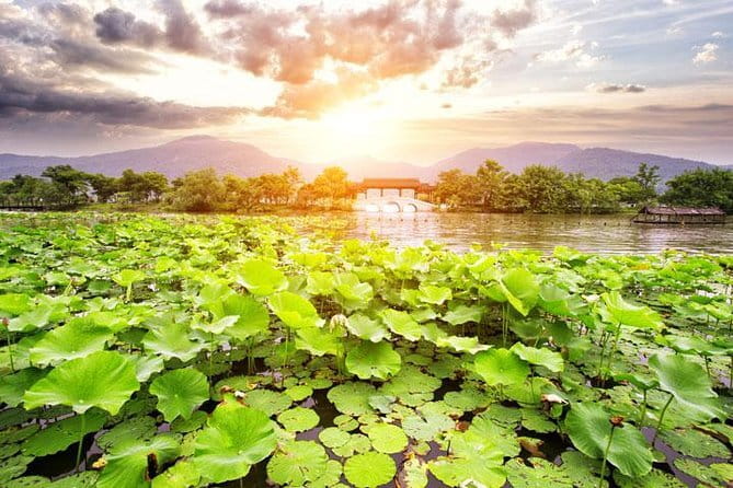Private Tour Hangzhou West Lake and Tea Fields Discovery - Key details that shape the day