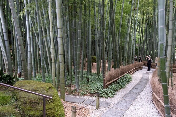 Private Tour in Kamakura: Matcha Tea Tasting & Photo Session - Why this Kamakura tour feels different