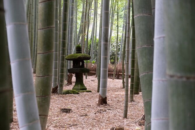 Private Tour in Kamakura: Matcha Tea Tasting & Photo Session - Jōmyō-ji: temple, gardens, and a cup of tea